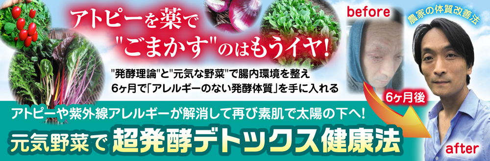 元気野菜で体質改善！超発酵デトックス健康法